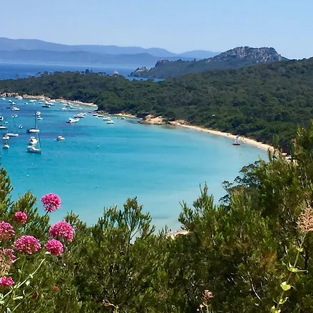Grand Dauphine Toulon, Boutique & Hotel